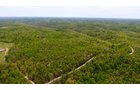 Property photo 6 - LAND AUCTION - 1,682+/- ACRES OFFERED IN 17 TRACTS IN LEWIS & GREENUP COUNTIES, KENTUCKY